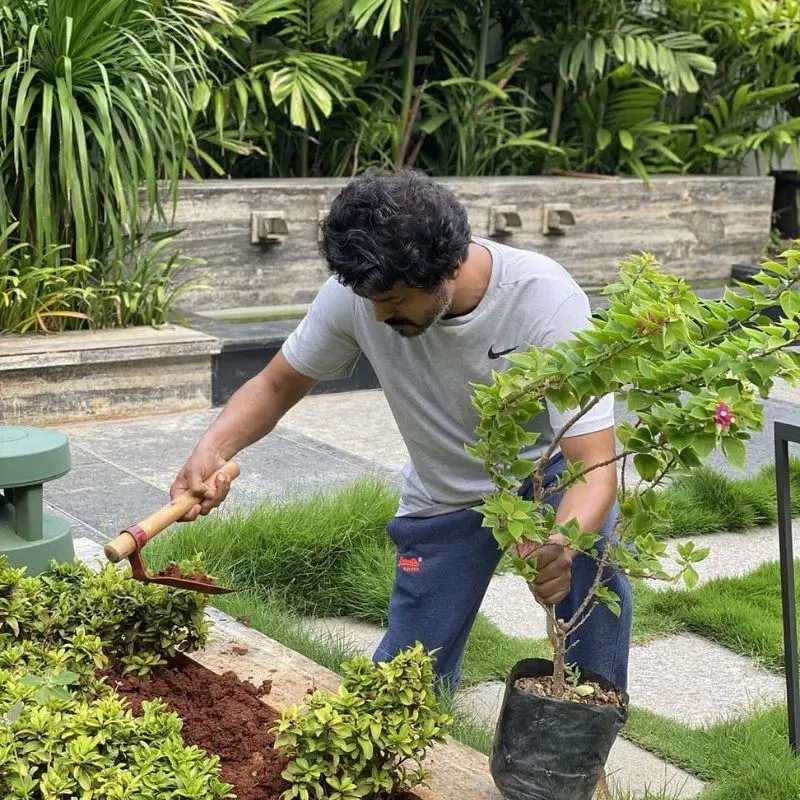 vijay house neelankarai