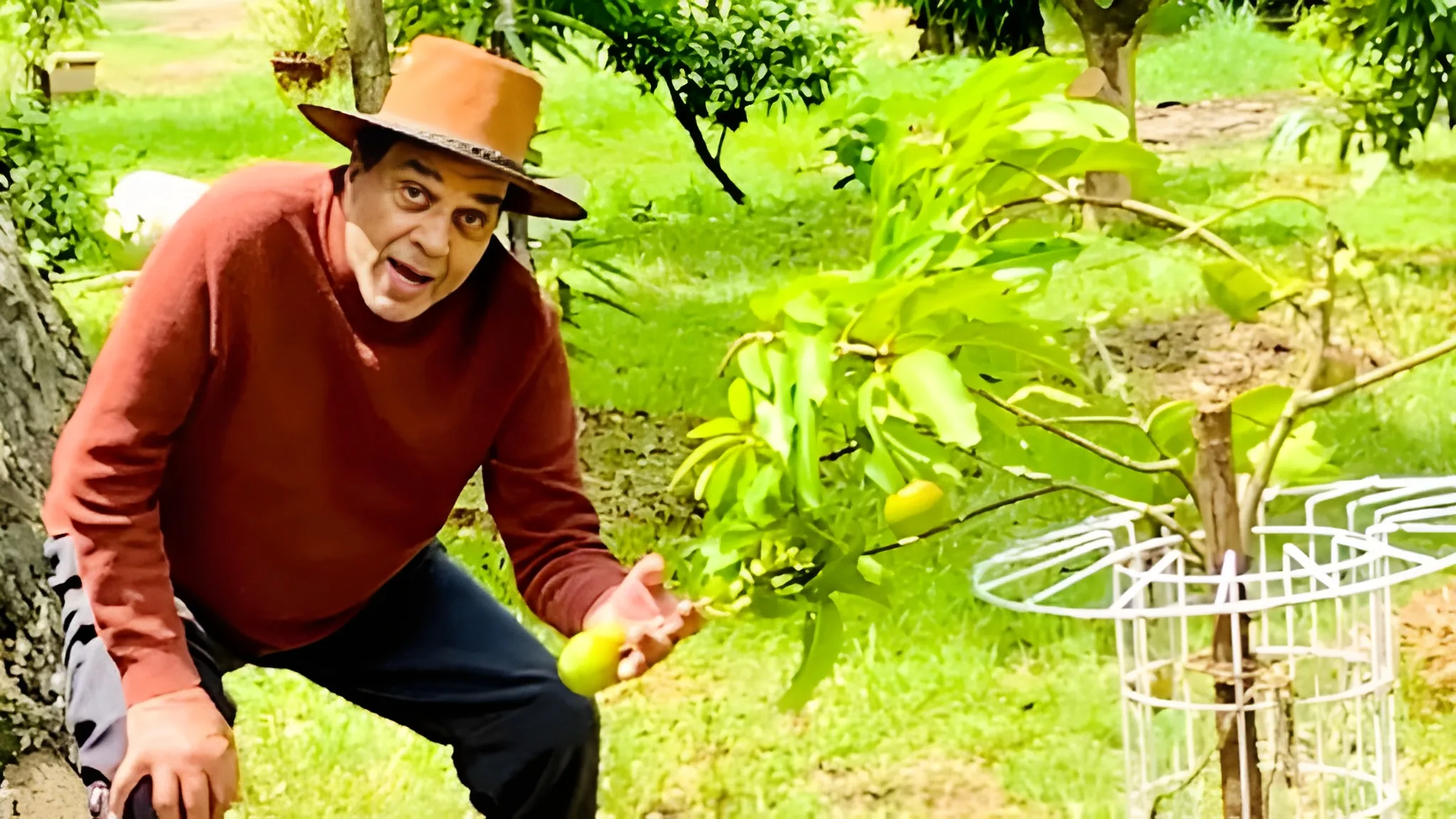 dharmendra farm house Agricultural